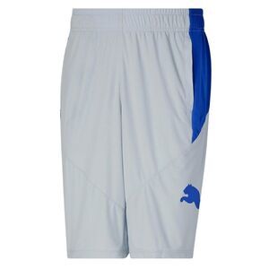 Puma Men's 10" Moisture Wicking Training Cat Shorts Grey/Blue- men short